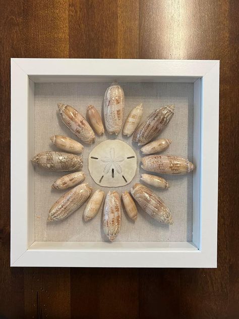 Olive Seashell Crafts, Olive Shell Crafts, Seashell Letter, Seashell Display, Seashell Art Diy, Shell Diy, Shell Sculpture, Shell Display, Shell Ideas