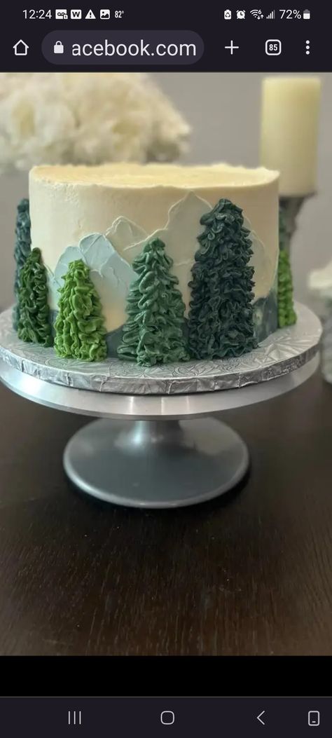 Decorated Cake For Men, Rv Cake Ideas, Masculine Birthday Cake Ideas, Celebration Cakes Birthday Men, Masculine Cake Ideas, Woodland Creature Cupcakes, Simple Male Birthday Cake, Masculine Cakes For Men, Nature Themed Cake