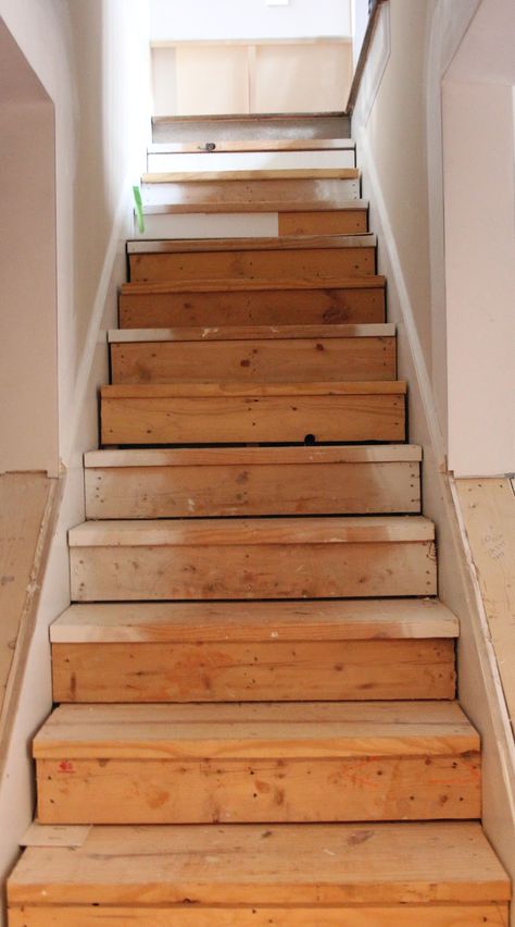 Updating Stairs, Redo Stairs, Stairs Makeover Ideas, Basement Steps, Basement Stairs Ideas, Carpet Diy, Stairs Renovation, Stair Makeover, Stairs Makeover