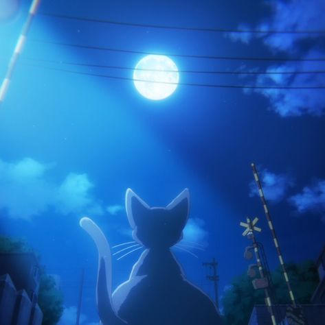 Ghibli Aesthetic Blue, Blue Aesthetic Profile Picture, Icons Azules Aesthetic, Blue Anime Icons Aesthetic, Dark Blue Pfp Aesthetic, Blue Dreamy Aesthetic, Blue Japanese Aesthetic, Blue Cat Aesthetic, Aesthetic Pfp Blue