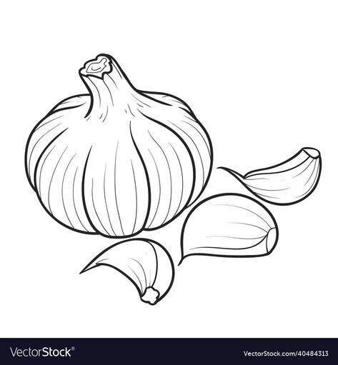 Garlic Embroidery, Garlic Sketch, Garlic Cartoon, Garlic Drawing, Garlic Illustration, Onion Drawing, White Background Cartoon, Super Coloring Pages, Embroidery Kitchen