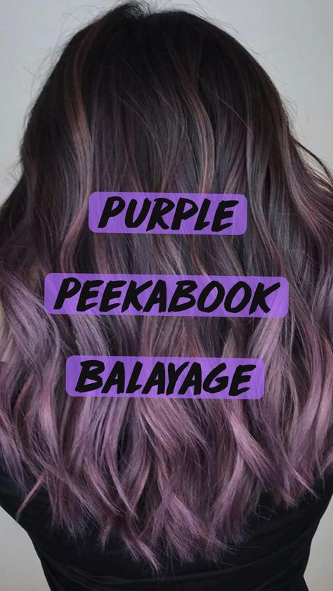 Pin on Hair Dark With Purple Highlights, Hair Dye On Brunettes, Womens Purple Hair, Funky Hair Colors For Brunettes, Hair Ideas To Dye Your Hair, Purple With Dark Hair, Purple In Brown Hair Subtle, Purple Shadow Root Brunette, Dark Brown Hair With A Pop Of Color