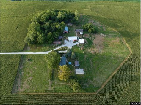 A long driveway leads to this hobby farm for sale that rests on 7.5 acres and is surrounded by corn fields. Hobby farm consists of solid farmhouse, garages, barns and outbuildings all on the most private setting one could ever wish for. This is a dream come true.   REALTOR COMMENTS Welcome to this spacious 7.5 acre property! This farmhouse features, 5 bedrooms, main floor laundry, beautiful updated kitchen, and #backtotheland #countryhome #countryhomeforsale #countrylife Long Driveways, Dairy Milk, Ranch Life, Hobby Farms, Country Life, Nebraska, App Design, Country House, Farmhouse