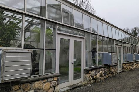 Stopping Inside the Vegetable Greenhouse - The Martha Stewart Blog Wooden Garden Boxes, Outdoor Garden Bed, Types Of Kale, Vegetable Greenhouse, Gooseberry Bush, Marley Spoon Recipes, Bedford New York, Biennial Plants, Succession Planting