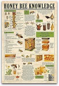 Starotore Canvas Wall Art Honey Bee Knowledge Vintage Poster For Farm Farmhouse Barn Educational Vertical Types Of Honeybees Chart For Honey Bee Wall Decor 24x36inch Bee Wall Decor, Cafe Sign, Bee Wall, Retro Metal Signs, Vintage Tin Signs, Retro Wall Decor, Vintage Metal Signs, Retro Wall, Sign Printing