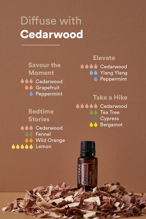 Embrace nature's tranquility with our cedarwood-infused diffuser blends. 🌲  Let the warm, woody aroma whisk you away to serene forests and tranquil escapes. ✨ Vetiver Diffuser Blends, Cedarwood Essential Oil Blends, Cedarwood Diffuser Blends, Young Living Diffuser Recipes, Eo Blends, Doterra Blends, Vetiver Oil, Vetiver Essential Oil, Essential Oil Diffuser Blends Recipes