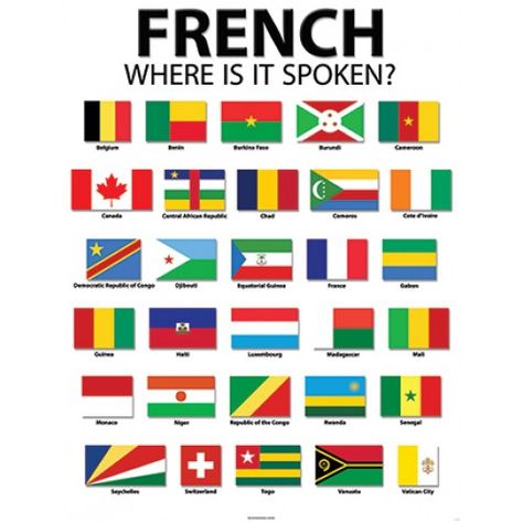 Informative Poster, French Display, French Speaking Countries, Francophone Countries, French Speaking, Speak French, French Language Lessons, Core French, French Classroom