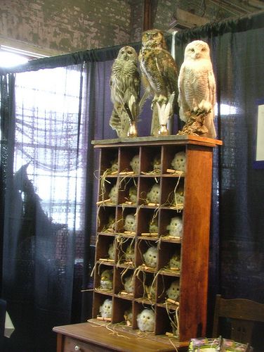 fullscale owlery | by Michelle Souliere Trolley Witch Harry Potter, Harry Potter Owlery, Larp Camping, Educating Rita, Harry Potter Inspired Decor, Hp Crafts, Roof Party, Witchy Party, Knockturn Alley