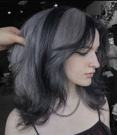 silver and black hair Black Hair With Grey Chunky Highlights, Black And Dark Gray Hair, Gray Stripe Hair, Dark Grey And Black Hair, Black Hair With A White Streak, Black And Grey Hair Color, Grey Chunky Highlights, Silver Grey Highlights On Dark Hair, Grey Hair With Black Tips