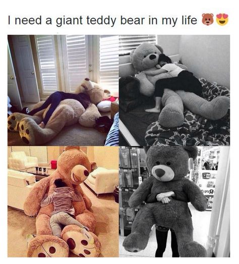 I NEED A GIANT TEDDY BEAR now.................................. Huge Teddy Bears, Teddy Bear Hug, Teddy Girl, Big Teddy Bear, Teddy Bear Images, Big Teddy, Giant Teddy Bear, Giant Teddy, Teddy Bear Gifts