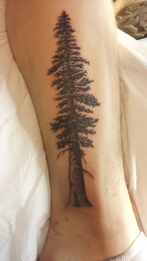 d Logging Tattoo, Tree Forearm Tattoo, Sequoia Tattoo, Sequoia Tree Tattoo, Cedar Tree Tattoo, Redwood Forest Tattoo, Red Wood Tree Tattoo, Big Pine Tree Tattoo, Redwood Tree Tattoo