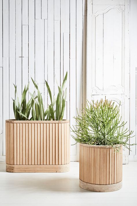 Adam Robinson's PLEAT COLLECTION of bamboo planters for House of Bamboo. Pictured colour is natural finish Plant Partition, Bamboo Planters, Modern Office Design Inspiration, Timber Planters, Bamboo Planter, Plant Box, Bamboo Crafts, Biophilic Design, Lobby Design