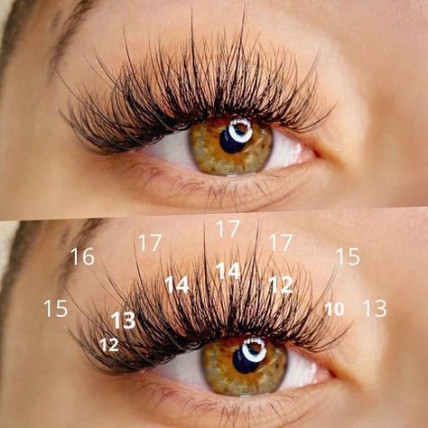 How to do Wispy Lashes Look – Fadlash Eyelash Extensions With Numbers, Eyelash Maps, Natural Fake Eyelashes, Lash Lounge, Lash Mapping, Wispy Eyelashes, Eyelash Extensions Styles, Lash Extensions Styles, Perfect Eyelashes