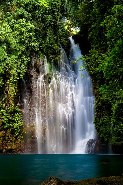 Tinago Falls, Iligan, Philippines Tinago Falls, Iligan City, Falling Water, Philippines Travel, Beautiful Waterfalls, Incredible Places, Kauai, The Philippines, Amazing Nature