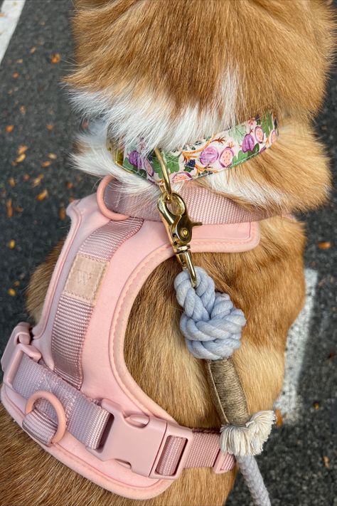 cutest dog harness, leash and collar | girl puppy accessories, wild one harness, foggy dog collar, furlou rope leash, lavendar dog leash, pink dog collr, dog must haves, puppy must haves, puppy checklist, aesthetic dog, aesthetic puppy, girl dog, pink dog accessories, dog mom must haves Harness Aesthetic, Dog Must Haves, Dog Silly, Pretty Dog Collars, Dog Collie, Foggy Dog, Cute Dog Harness, Leash And Collar, Pretty Dog