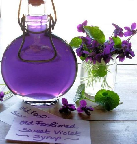 Old Fashioned Sweet Violet Syrup for Easter & Mothering Sunday Cakes & Bakes Violet Syrup, Edible Flowers Recipes, Mothering Sunday, Sweet Violets, Flower Food, Jams & Jellies, All Things Purple, Edible Flowers, Purple Glass