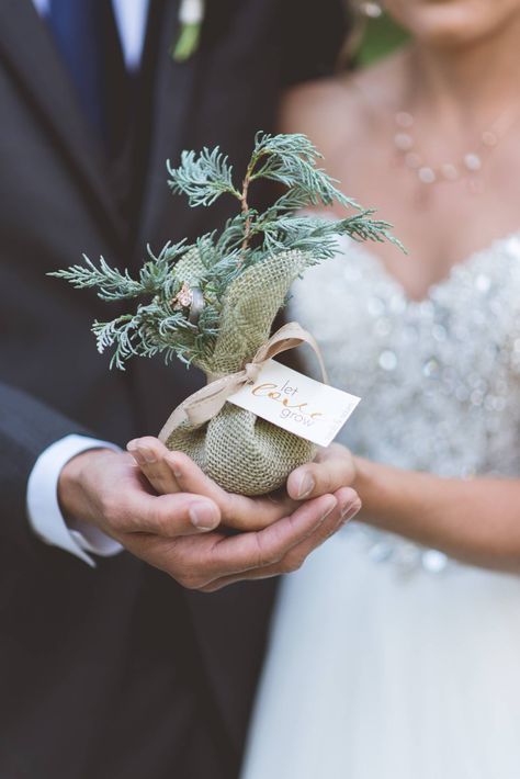 "Let Love Grow" baby trees as wedding favors! Inspiration for an outdoor or mountain wedding! Whimsical Forest Wedding Inspiration via Rocky Mountain Bride Whimsical Forest Wedding, Forest Wedding Favors, Forest Wedding Inspiration, Lavender Wedding Bouquet, Boulder Wedding, Wedding Dresses Whimsical, Let Love Grow, Wedding Color Combos, Wedding Whimsical