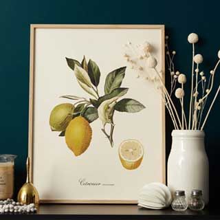 Product Packaging Ideas, Mock Up Design, Product Shoot Ideas, Kitchen Plants, Illustration Botanique, Fruit Illustration, Trendy Aesthetic, Lemon Tree, Lemon Print