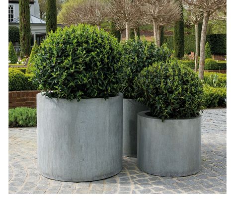 Large Patio Planters, Zinc Planters, Concrete Ring, Contemporary Planters, Patio Planters, Grey Gardens, Metal Planters, Common Themes, Large Planters