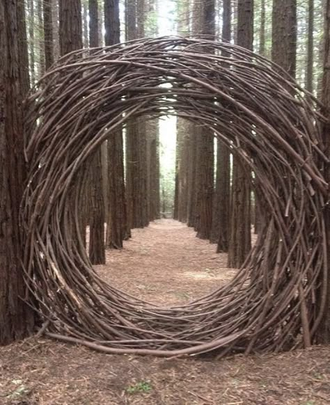 Tre Kunst, Magic Portal, Wood Moon, Moon Gate, American Ninja Warrior, Wallpaper Retro, Redwood Forest, Earth Art, Forest Art