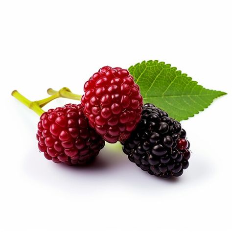 Mulberry Fruit, Event Food, Business Card Maker, Flyer Maker, Poster Maker, Card Banner, Poster Invitation, Cartoon Clip Art, Card Maker