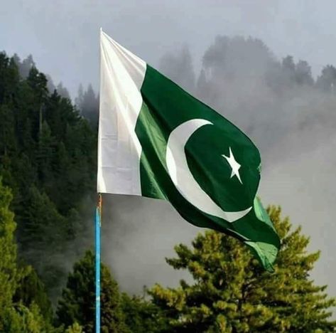 Pakistan Flag Wallpaper, Pakistan Flag Images, Ramzan Images, August Pictures, Pakistan Pictures, Hummingbird Wings, Pakistani Flag, Wallpaper Iphone Quotes Backgrounds, Pakistan Independence