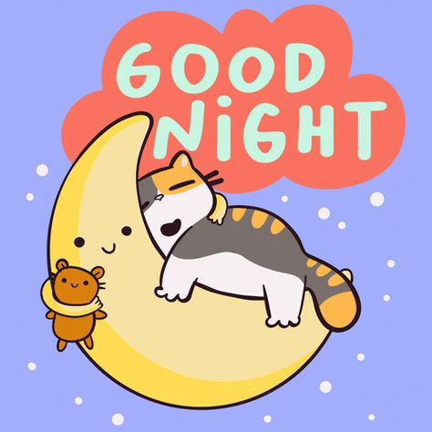 Good Night Message, Cheerful Quotes, Good Night Cat, Good Night I Love You, Good Knight, Good Nights, Good Morning Beautiful Gif, Cute Good Night, Good Night Gif