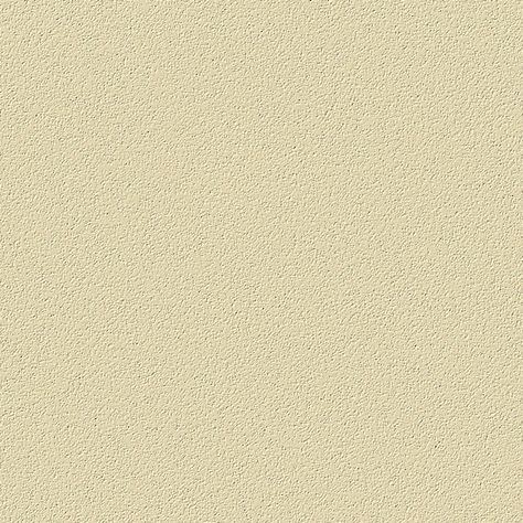 HIGH RESOLUTION TEXTURES: Seamless flat cream stucco paint texture Stucco Paint, Zoffany Wallpaper, A Street Prints, Paint Texture, Plain Wallpaper, Texture Paint, Blue Carpet, Mosaic Stone, Painting Wallpaper