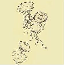 Moon Jellyfish Moon Jelly Fish Tattoo, Moon Jelly Tattoo, How To Draw Moon Jellyfish, Jellyfish Drawing Simple, Ponyo Jellyfish Tattoo, Jellyfish Doodle Simple, Jellyfish Line Art, Moon Jellyfish Drawing, Moon Jellyfish Tattoo