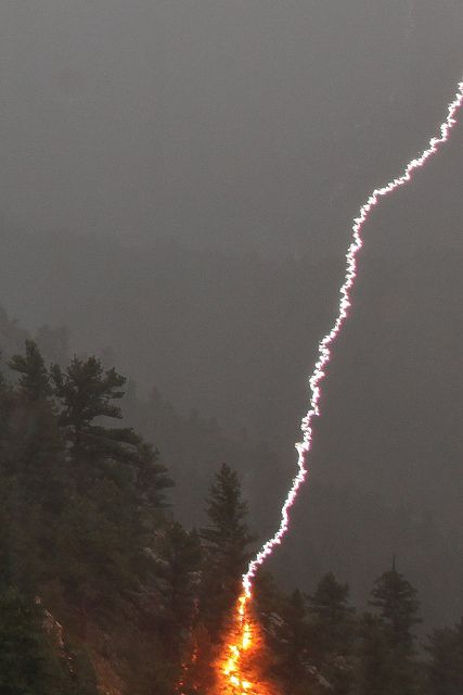 Lightning strikes pine tree • by bill.bryant99 on Flickr • "I managed to catch this lightning strike on a pine tree last night. Fortunately, there was heavy rain at the time, so the fire was extinguished immediately." Golden, Colorado, US. Lights In The Sky, Elf Ranger, Wow Photo, Golden Colorado, Wild Weather, Fire Works, Thunder And Lightning, Lightning Storm, Unusual Things