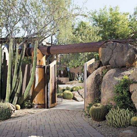 A Natural Canvas Garden Of Cosmic Speculation, Desert Backyard, Cactus Collection, Garden Cabins, Palm Garden, Outdoor Restaurant Design, Phoenix Homes, Dry Garden, Minimalist Landscape