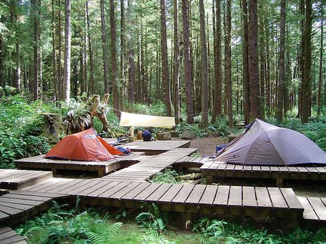 Tent Platform Camping, Camp Sites Ideas, Camping Design Ideas, Camp Ground Design, Camping Area Design, Camping Site Design, Camp Platform, Camping Site Ideas, Platform Tent