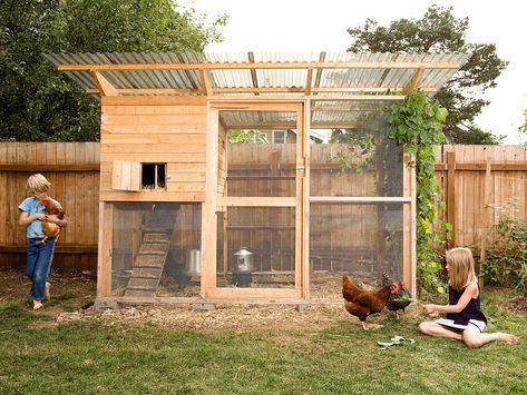 Detailed plans for a secure, stylish walk-in chicken coop and run. Easy to build and customize. Houses up to 8 standard-size chickens. Walk In Chicken Coop, Clean Chicken, Portable Chicken Coop, Diy Chicken Coop Plans, Chicken Tractor, Urban Chickens, Coop Design, Best Chicken Coop, Chicken Run