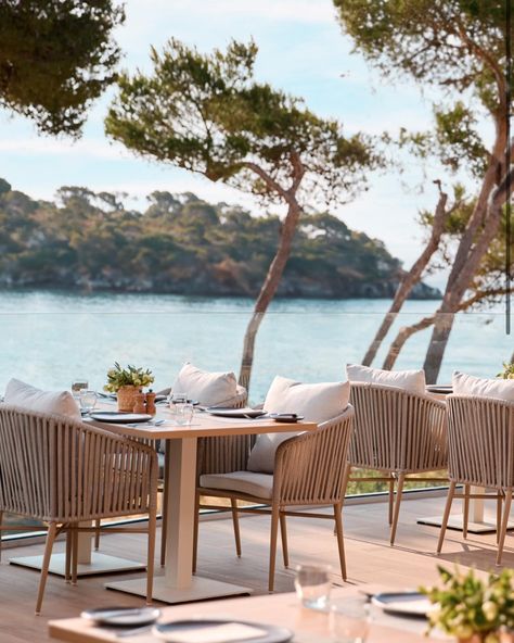 Picture this: a killer five-star resort on pristine Majorca coastline, decked out with killer views and every perk imaginable. Spa? Check. Tons of dining? Yep. Plus, kids’ stuff and sports galore. It’s the ultimate luxe all-inclusive spot for families and couples. Total winner. @ikosresorts #mallorca #mallorcahotels #allinclusive #luxuryhotel #ikosresorts Mallorca hotels, all inclusive, luxury travel, personalised travel services, luxury resort, kids club, five star hotel, best spa faci... Resort Dining Area, Luxury Country Club, Resort Bar Design Beach Club, Luxury Beach Resort Aesthetic, Backyard Resort, Stella Island Luxury Resort & Spa, Liverpool City Centre, Restaurant Design Inspiration, Marina Resort