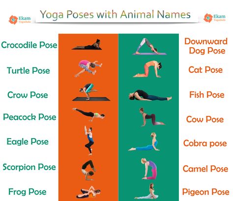 Yoga Poses with Animal Names Yoga Asanas Names, Yoga Poses Chart, Popular Yoga Poses, Downward Dog Pose, Animal Flow, Beginner Poses, Health Infographics, Chair Pose Yoga, Animal Yoga