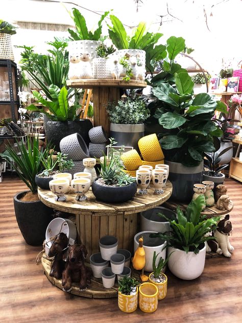 New display of stunning plantspots and accessories House Plant Shop Display, Plant Pot Display, Flower Pot Display Ideas, Retail Houseplant Displays, Plant Boutique Ideas, Greenhouse Display Ideas, Retail Plant Display Ideas, Plant Booth Display, Garden Center Displays Retail Ideas