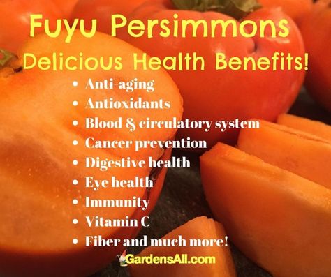 Hardy Recipes, Persimmon Benefits, Fuyu Persimmon Tree, Medicinal Gardening, Fuyu Persimmon, Persimmon Tree, Persimmon Recipes, Persimmon Fruit, Landscape Gardening