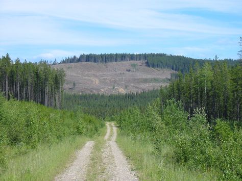 Road construction near Hinton, Alberta, Canada Hinton Alberta, Road Construction, Western Canada, Alberta Canada, Country Roads, Natural Landmarks, Road, Travel, Nature