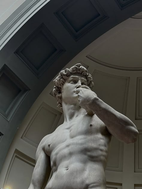 David Florence, Greek God Sculptures, Accademia Gallery, Michelangelo David, Dark Ivy, Greek And Roman Art, Italian Statues, Michelangelo's David, Roman Busts