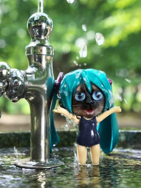 splashtime Nendoroid Photography, Miku Nendoroid, Miku Hatsune Chibi, Nendoroid Anime, Miku Chan, Miku Hatsune Vocaloid, Vocaloid Funny, Vocaloid Characters, Miku Hatsune