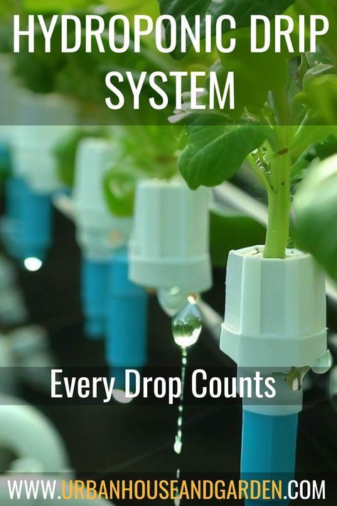 Hydroponic Drip System Drip System, Hydroponics System, Hydroponics