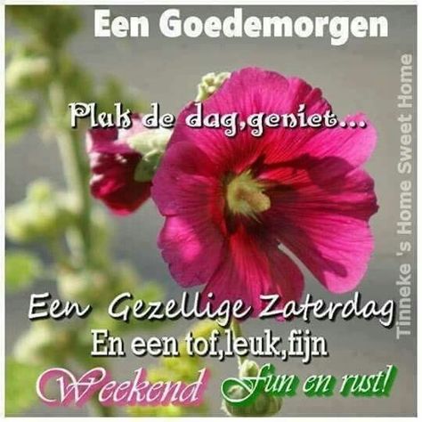 Goedemorgen FB familie Het weekend is weer daar Dus ik zou zeggen genieten maar De dagelijkse dingen worden gedaan De rest kunnen wij laten staan Wat gebeuren moet zal gebeuren Is dat klaar dan zal het heerlijk opfleuren Dan is het genieten van deze dag En wensen wij jullie allen een fijne zaterdag Groetjes uit Spau🏞️beek Maaya 🐕 Debolet 🐕 HJ en Michael Quotes For The Day, Good Wishes, Days Of The Week, Good Morning, Gif