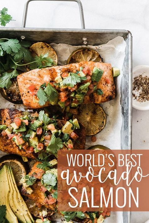 If you love salmon, you're going to love this Avocado Salmon recipe. This easy recipe is perfect for those warm summer nights with a bright and creamy topping. Let us show you how to do it! || Oh So Delicioso Salmon Grilled, Seafood Dinner Recipes, Grilled Avocado, Best Seafood Recipes, Salmon Avocado, Healthiest Seafood, Summer Grilling Recipes, Fresh Avocado, Easy Seafood Recipes