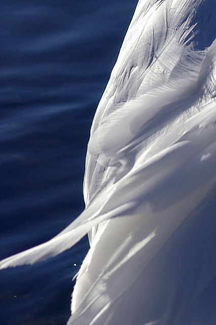 Tokachi River, White Inspiration, Tin, Blue And White, Water, Blue, White