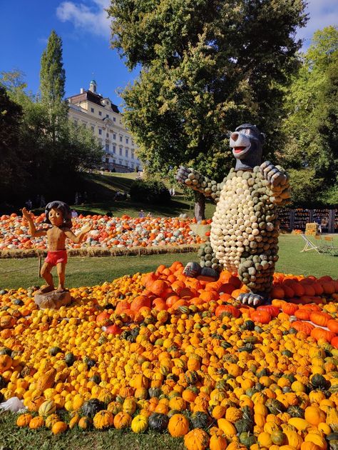 Die Kürbisausstellung im Blühenden Barock Ludwigsburg vor der Kulisse des Residenzschlosses Autumn Activities, Pumpkin Patch, Germany