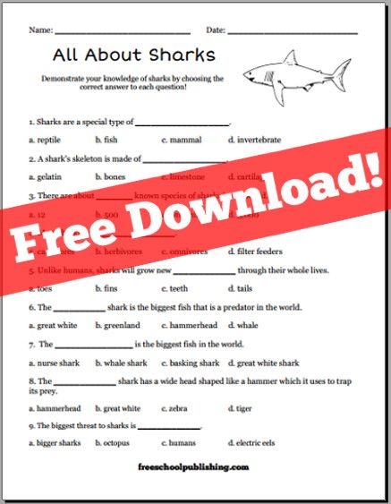 All About Sharks Worksheet – FreeSchool Publishing Shark Worksheet, Shark Facts For Kids, All About Sharks, Shark Facts, Summer Writing, Homeschool Inspiration, Facts For Kids, Shark Week, Summer Theme