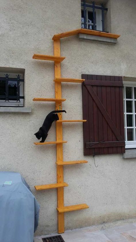 Pet Friendly Backyard, Katt Diy, Cat Ramp, Cat Playground Outdoor, Katt Grejer, Cat Ladder, Cat Stairs, Cat Patio, Diy Cat Tree