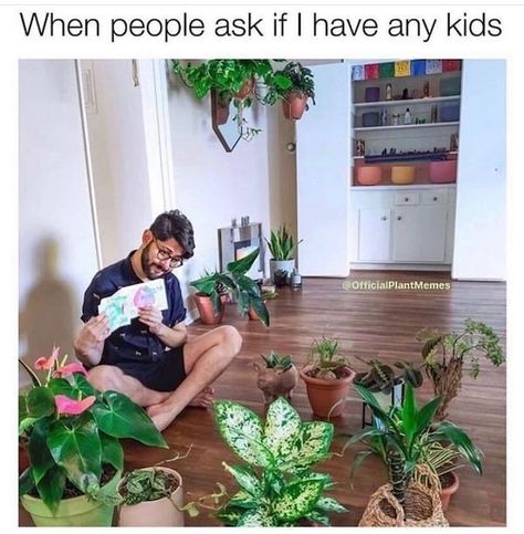 35 'Being Single Memes' For All of Us Loners - Funny Gallery Plant Jokes, Witty Memes, Tattoo Plant, Single Memes, نباتات منزلية, Funny Memes About Girls, Being Single, Girl Memes, Friend Memes