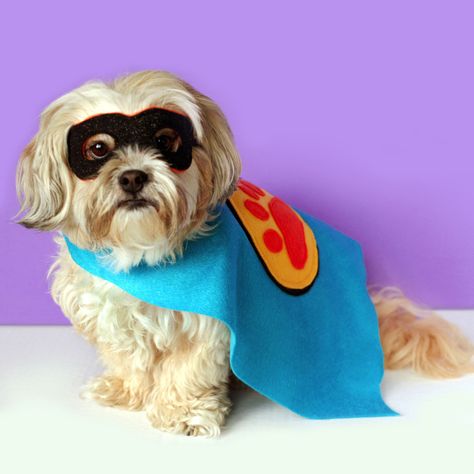 Dog Costumes For Kids, Diy Superhero Costume, Handmade Halloween Costumes, Superhero Costumes, Diy Dog Costumes, Dog Halloween Costumes, Hero Costumes, Dog Costumes, Diy Dog