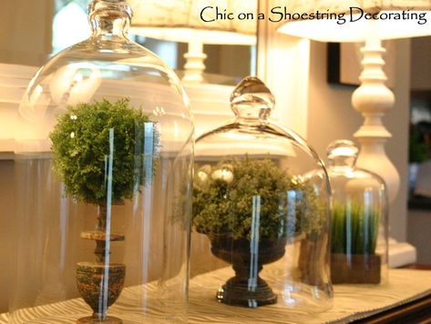 Chic on a Shoestring Decorating: A Frenchy Burlap Pillow and ... Cloche Display, Glass Cloches, Cloche Decor, Bell Jars, Glass Dome Cloche, Cloche Domes, Countertop Decor, Budget Friendly Decor, Glass Cloche